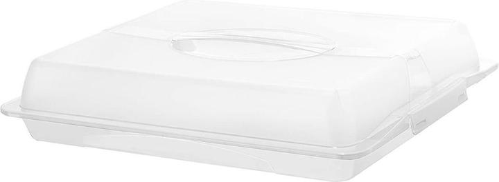 Rotho Storage container John 12 l, Green/Transparent