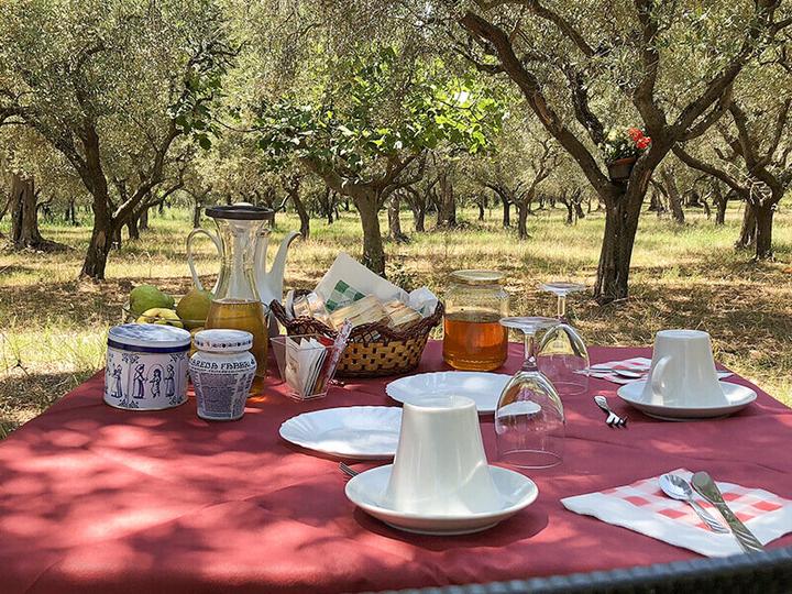 Actual product image Smartbox Nature holiday: 2 nights with breakfast and riding excursion (2 pers.)