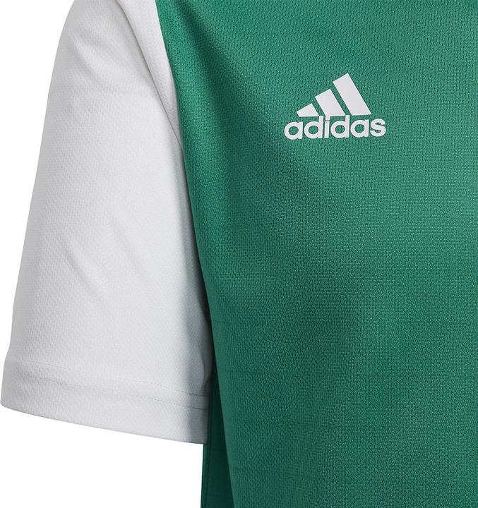 Actual product image adidas Estro 19 Jersey Kids (164)