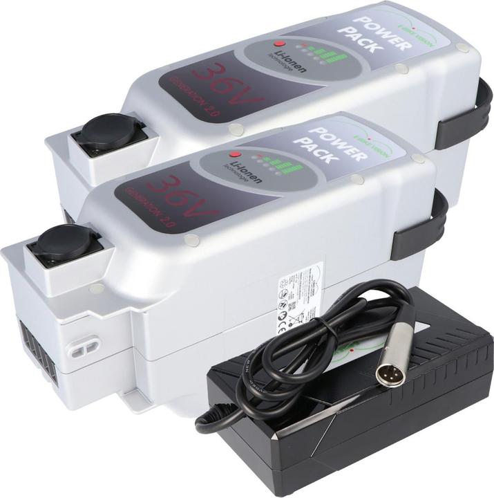 E-Bike-Vision 2 pcs. E-bike battery 36V 17Ah 612Wh Panasonic Deluxe drive system incl. quick charger (612 Wh, E-Bike battery)