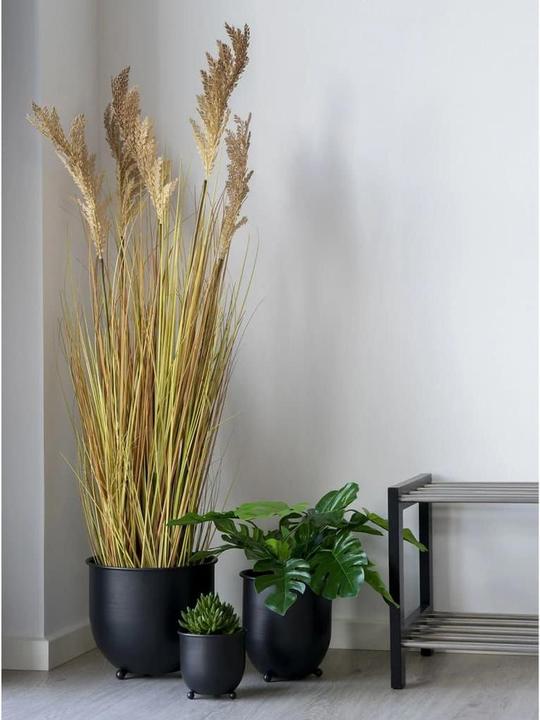 Produktbild House Nordic Sorghumgrass (110 cm)