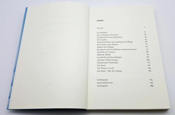 Produktbild Wunder im Bauch (Deutsch, Katharina Vestre, 2019)