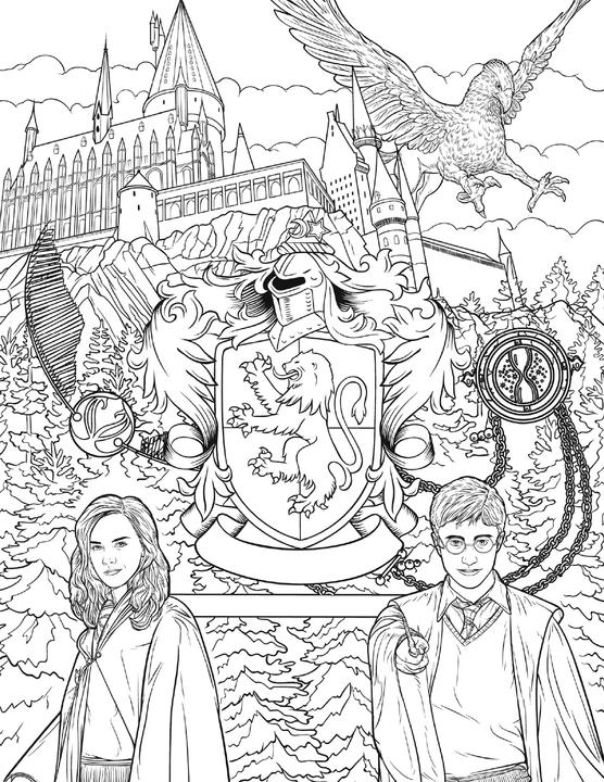 Actual product image Panini From the Harry Potter films: The Official Colouring Book: Gryffindor
