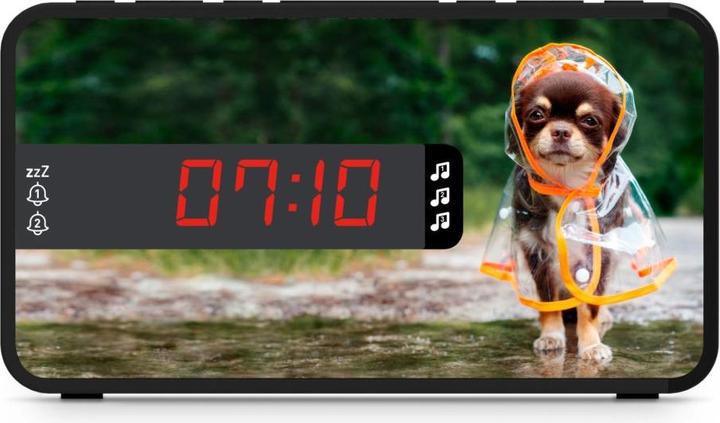 Immagine prodotto Bigben Sveglia doppia R16 - Stagioni divertenti