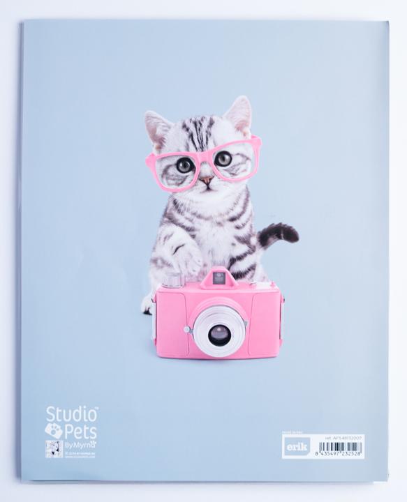 Produktbild Grupo Erik Photo Album - Studio Pets Cat Tabby (13 x 20 cm)