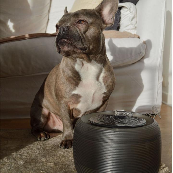 Actual product image Martin drinkfontein voor kat en kleine hond zwart (2.50 l)