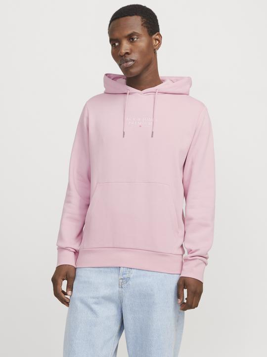 Immagine prodotto Jack & Jones Jprbluarchie Sweat Hood Noos (L)