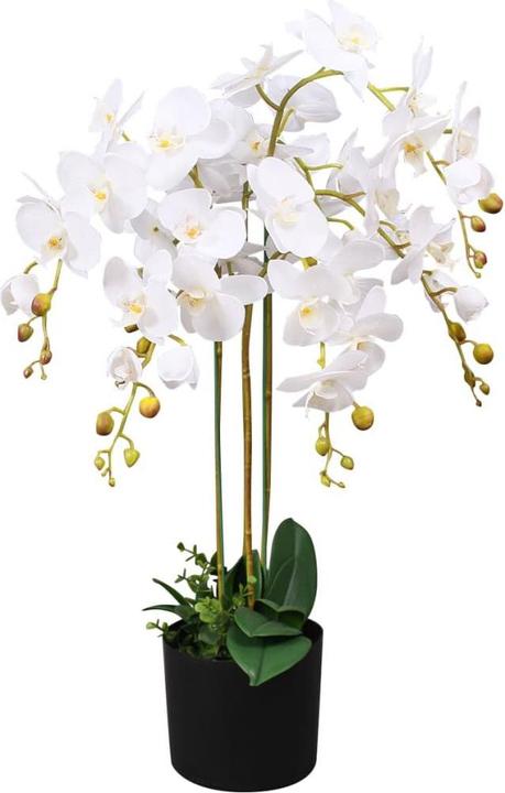 Actual product image VidaXL Orchidee (75 cm)