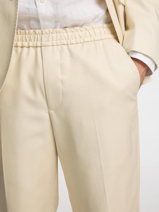 Actual product image Selected Homme Straight Fit Anzughose (S)