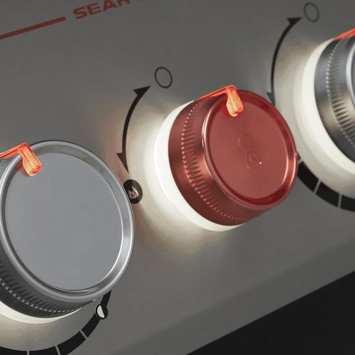 Image du produit Weber Genesis EPX-435 (14.10 kW)
