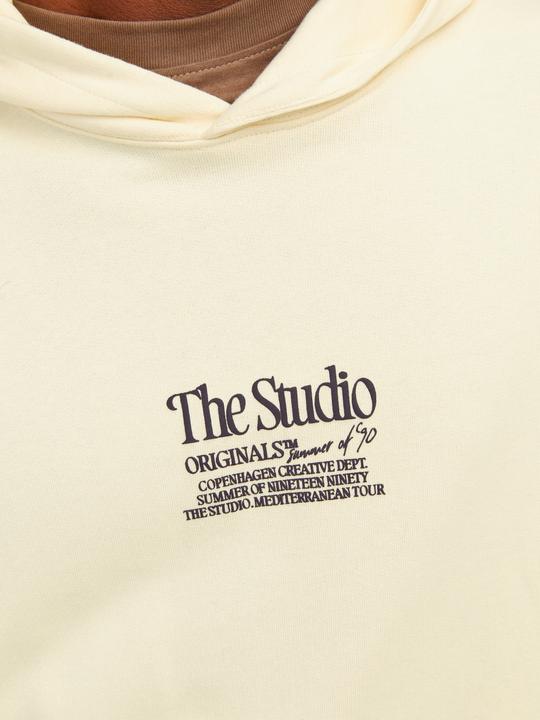 Immagine prodotto Jack & Jones Jornoto Graphic Sweat Hood (S)