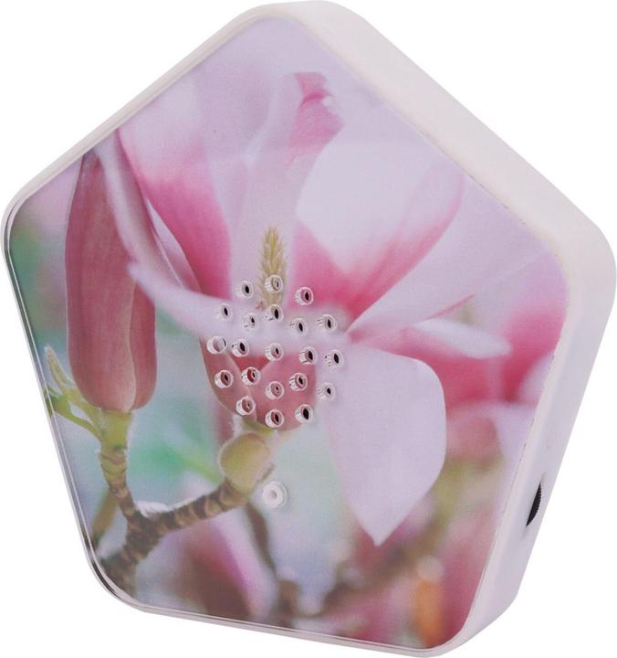 Actual product image Olympia Olymp Nature BOX