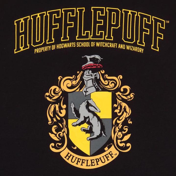 Actual product image Heroes Inc Harry Potter T-Shirt Hufflepuff Grösse XL (XL)