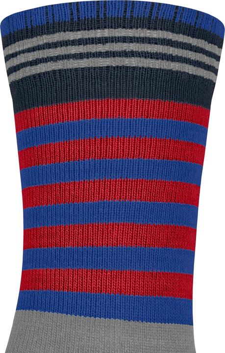 Actual product image Falke Active Frog Kinder Socken (23 - 26)