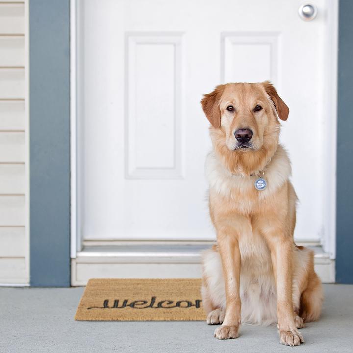 Actual product image Relaxdays Doormat (60 x 40 x 1.5 cm)