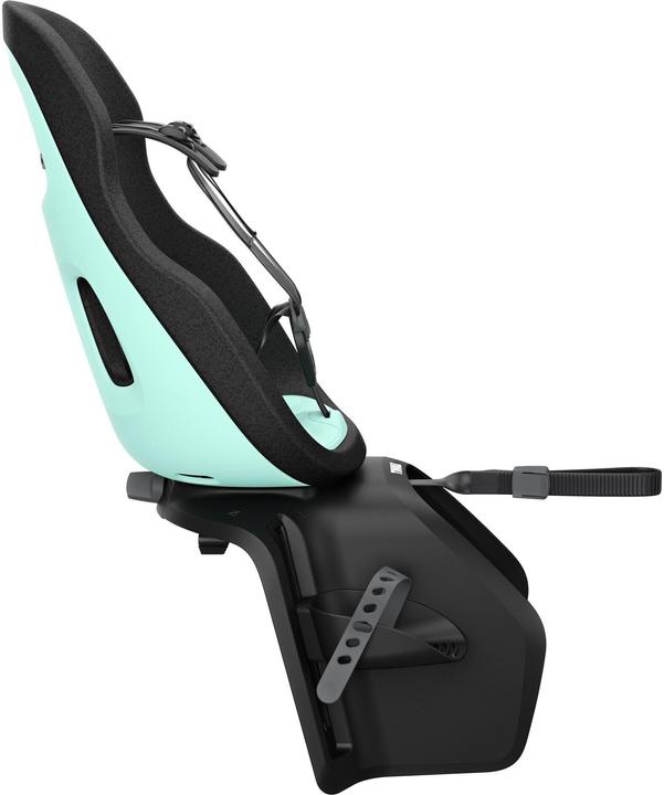 Mint, Black