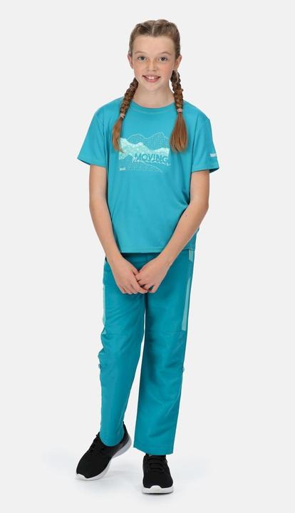 Actual product image Regatta Alvarado Vi Tshirt (140)