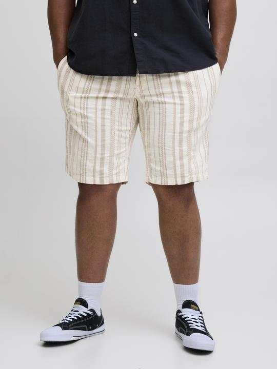 Actual product image Jack & Jones Plus Size Relaxed Fit Relaxed Fit Shorts Relaxed Fit Shorts (46)