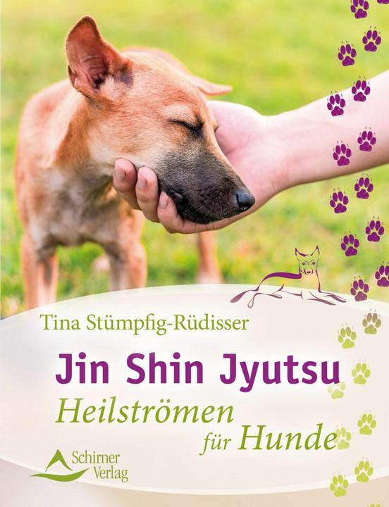 Produktbild Jin Shin Jyutsu (Deutsch, Tina Stümpfig-Rüdisser, 2016)