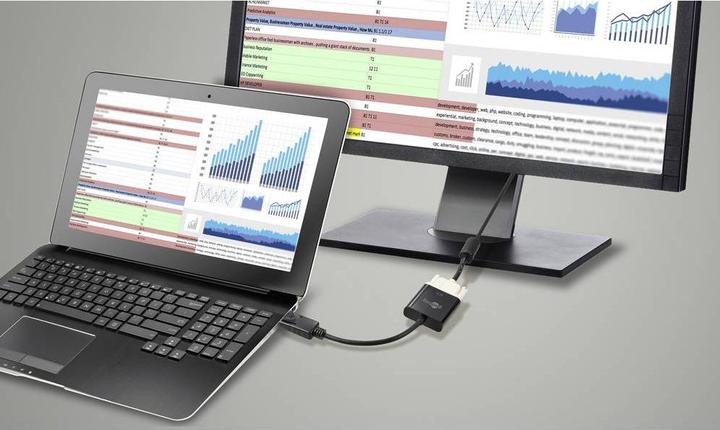 Produktbild Goobay DisplayPort/DVI-D (DVI, 20 cm)