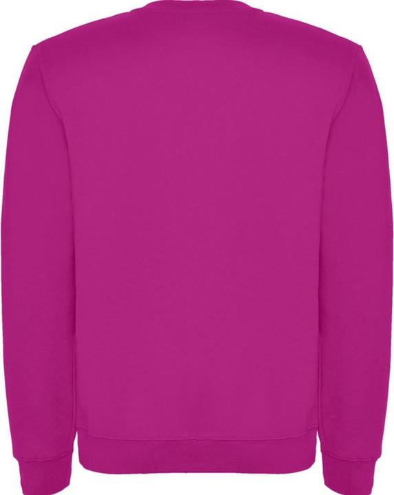 Produktbild Alpinia Clasica Sweatshirt Rundhalsausschnitt (146, 152)