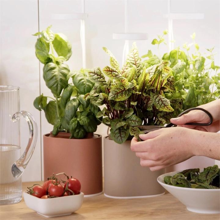 Immagine prodotto Prêt à Pousser Herb Pot Nano, verde foresta (13.50 cm)