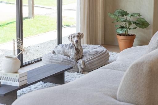 Actual product image Designed by Lotte Reza reclining cushion (Dog)