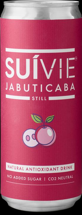 Produktbild Vivi Suivie Still (6 x 33 cl)