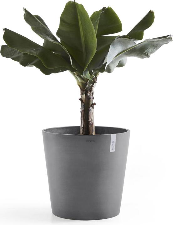 Produktbild Ecopots Amsterdam (60 cm)