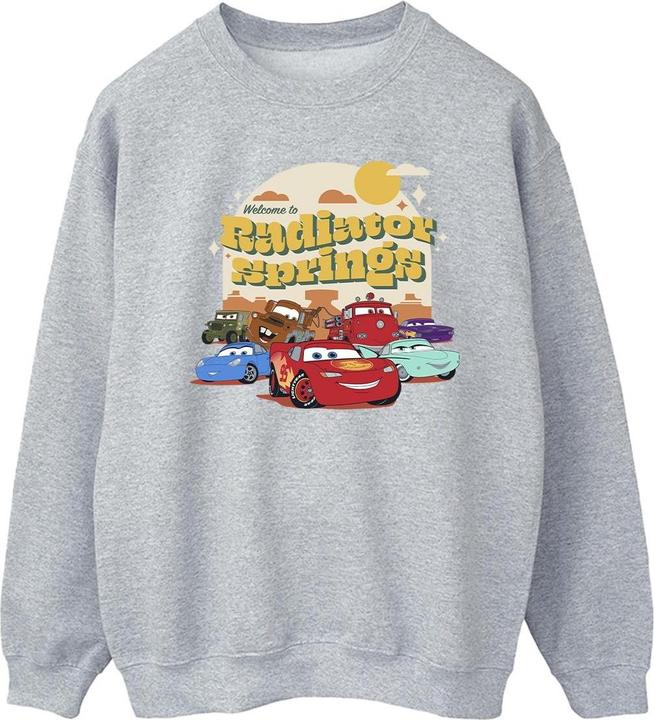 Disney Cars Radiator Springs Group Sweatshirt (XL)