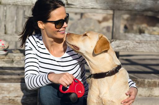 Image du produit Flexi New Classic (S, Chien, Promenade)
