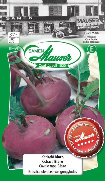Samen Mauser Chou-rave Blaro (Graines de légumes)