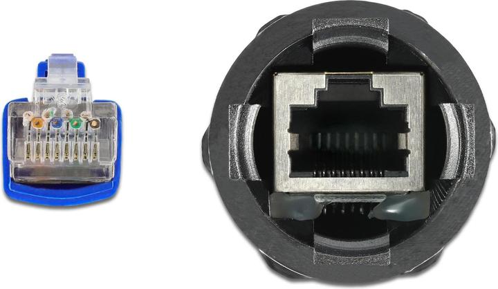 Actual product image Delock Cable RJ45 male to RJ45 female Cat.6 waterproof with cable gland and anti-kink sleeve (S/FTP, CAT6, 0.25 m)