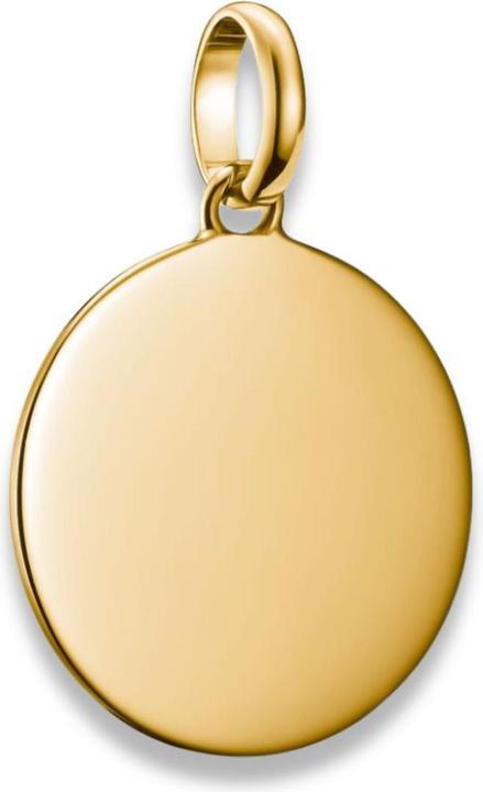 Immagine prodotto Thomas Sabo Charm-Anhänger Coin gross Connect vergoldet (Argento)