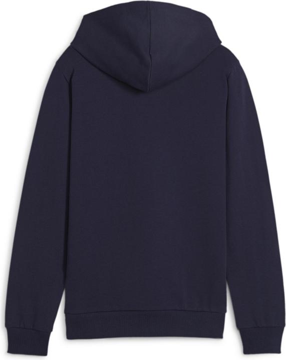 Actual product image Puma teamGOAL Casuals Hoody Jr (164)