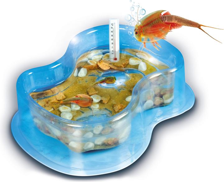 Produktbild Clementoni Éléve tes Triops