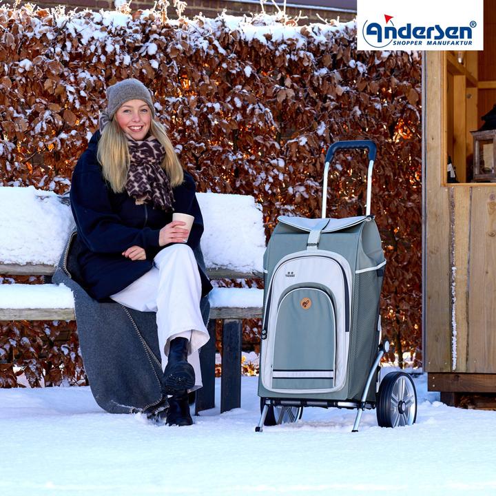 Actual product image Andersen Royal Hydro 2.1 shopping trolley