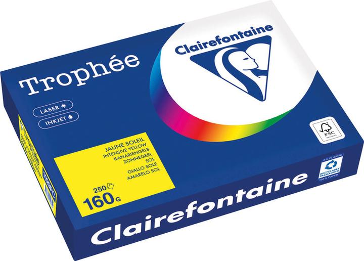 Image du produit Clairefontaine Trophée (160 g/m², 250 x, A4)