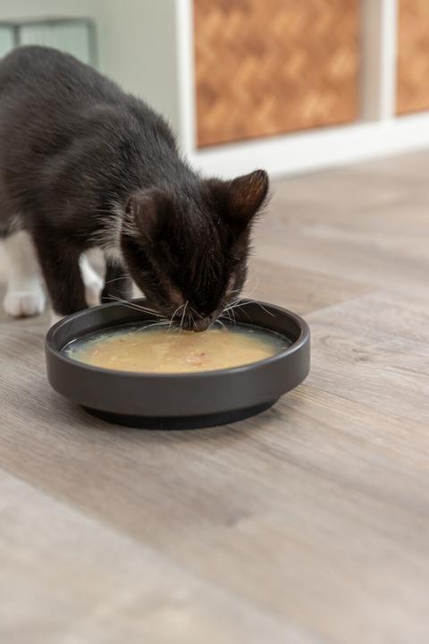 Produktbild Trixie Katzen-Nahrungsergänzung Salmon Soup, Huhn und Lachs, 80 g (Adult, 1 Stk., 80 g)