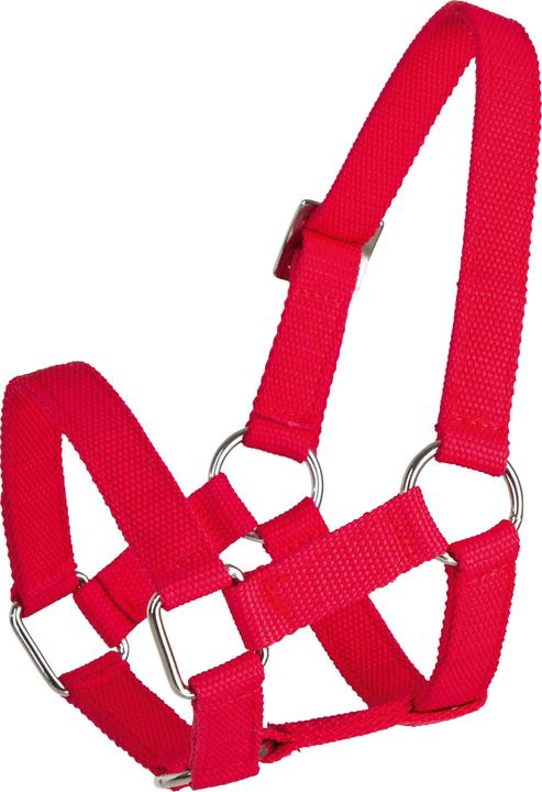 Kerbl Head halter for sheep