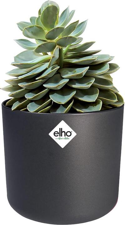 Produktbild Elho b.for soft (18.30 cm)