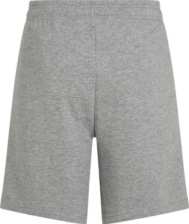 Immagine prodotto O'Neill The Future Surf Society Shorts (S)
