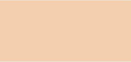 Produktbild Pola Cosmetics Smooth Camouflage 5 ml concealer - Shade: P2 (P2)