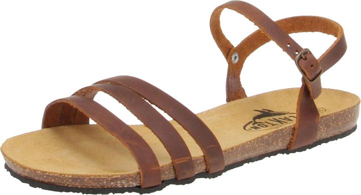 Brown, Apure Roble