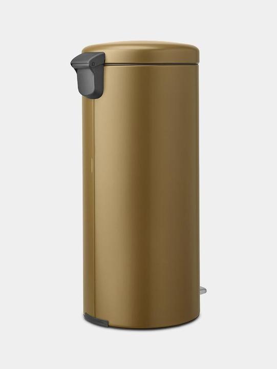 Image du produit Brabantia newIcon (30 l)