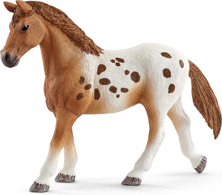 Image du produit Schleich Horse Club Lisas Entraînement à la compétition
