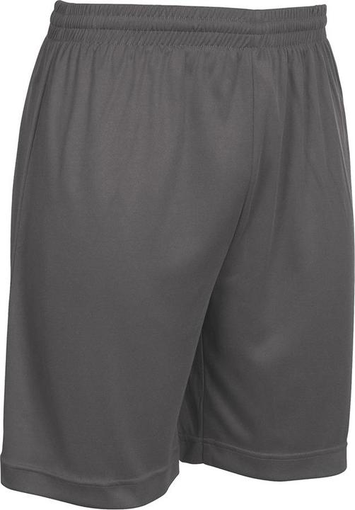Actual product image Stanno Field Shorts (164)