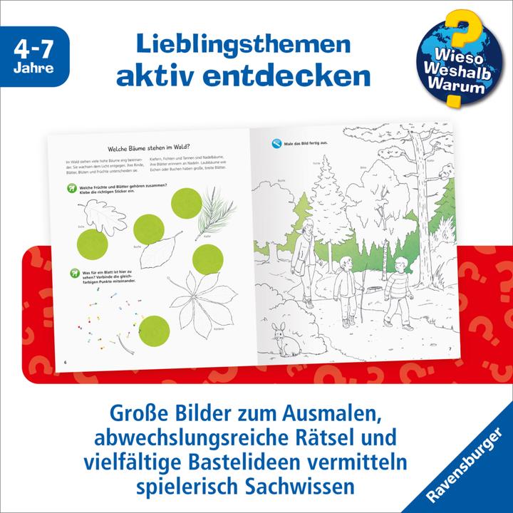 Actual product image Ravensburger Wald (German, Stefan Richter, 2020)