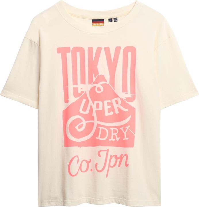 Produktbild Superdry Neonfarbenes T-Shirt in Übergrösse mit Regenbogen-Print (8)