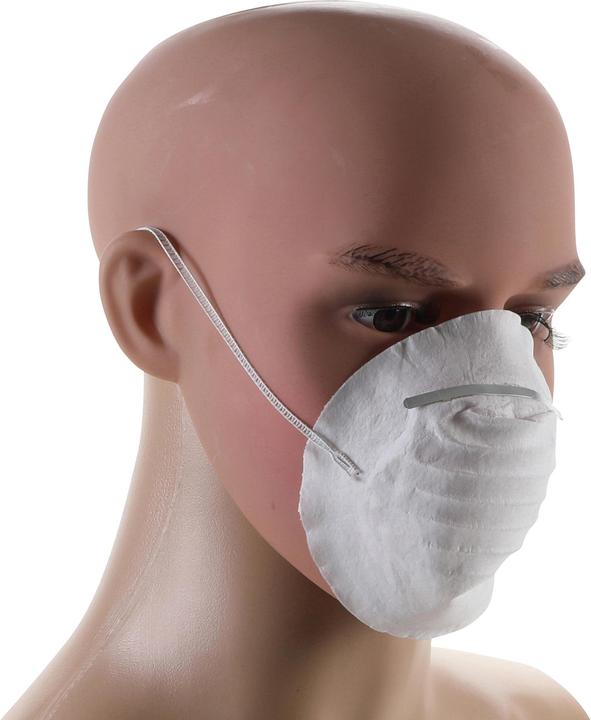 Actual product image BGS Hygiene Masks | 10 pcs. (10 x)